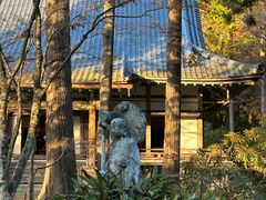 -三千院