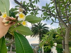 -智住·海景公寓(小径湾店)