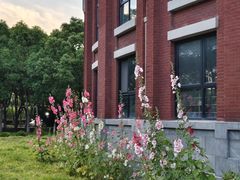 -华东政法大学(松江校区)