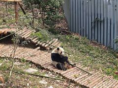 -黔灵山公园