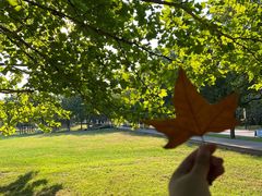 -稻香湖景欢乐岛温泉城堡