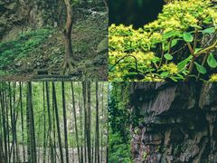 -严子陵钓台(富春江小三峡)