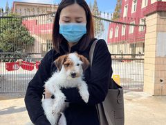 -爱侣宠医·鹦鹉专科·小型哺乳类·异宠专科(灵石路店)