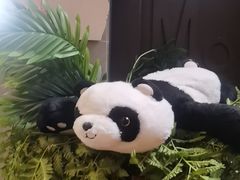-茶去咖啡屋(武侯祠店)
