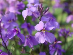 -昆山城市生态森林公园