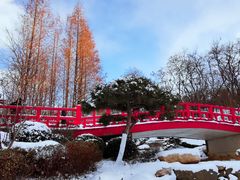 -大连植物园