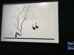 -罗红摄影艺术馆