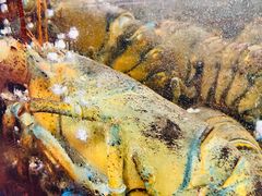 -蟹之国·精品蟹料理(极地店)