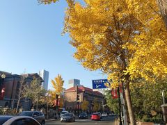 -天津五大道文化旅游区