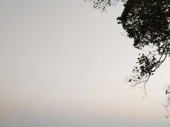 -上海市保健医疗中心