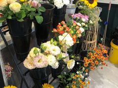 -之悦咖啡馆(新星宇·之洲店)