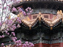 -故宫博物院(故宫)