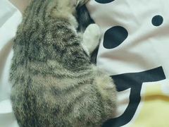 -优衣库(上海虹口龙之梦店)