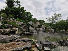 -东莞植物园
