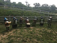 -大连铭湖国际观光牧场