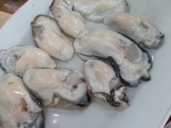 -花苑美食横琴生蚝火锅(拱北粤华路店)