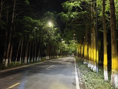 -歌斐颂巧克力小镇