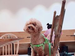 -小豆海棠(人民南路店)