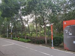 -庄怡公园