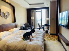 -龙熙维景国际会议中心