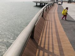 -演武大桥观景平台