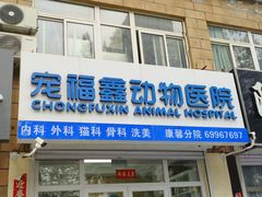 -宠福鑫康馨动物医院·骨科·眼科