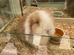 -龙猫仔乐园(惠福东路店)