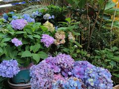 -花二家·生活馆(六运小区店)