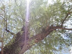 -柳沟豆腐宴义豆堂24号农家院