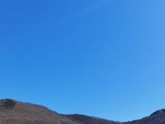 -金石滩蓝莓谷庄园