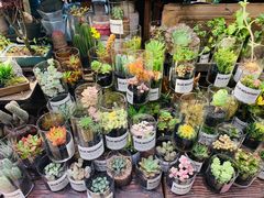 -双季花艺园艺市场(浦东店)