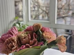 -蝶舍·MAISON PAPILLON