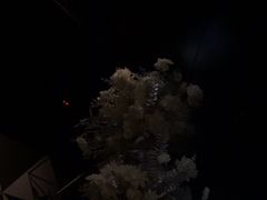 -黑桃K生日订制KTV