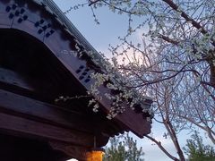 -三里河公园