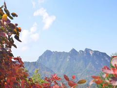 -秦岭终南山世界地质公园翠华山景区