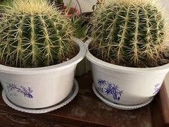 -足来足往养生会所