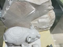 -河南自然博物馆