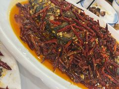 -田记餐馆(富国街店)