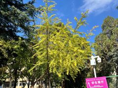 -云南师范大学(一二一西南联大校区)