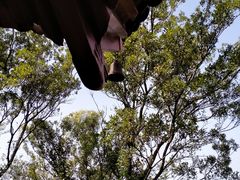 -焦山景区-万佛塔