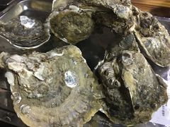 -大富蚝乌东哥饭店·石锅鱼杂·柠檬鸭(革新路店)