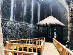 -呀路古热带植物园