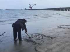 -台山黑沙湾海浴场