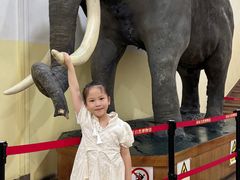 -国家自然博物馆