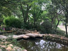 -成都市活水公园