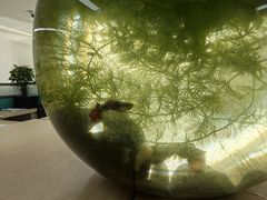 -苏州现代传媒广场商业