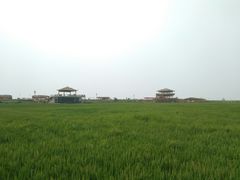 -红海滩国家风景廊道