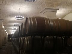 -北京张裕爱斐堡酒庄