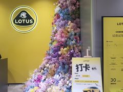 -莲花跑车(国贸商城店)