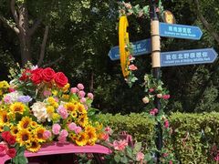 -北京野生动物园